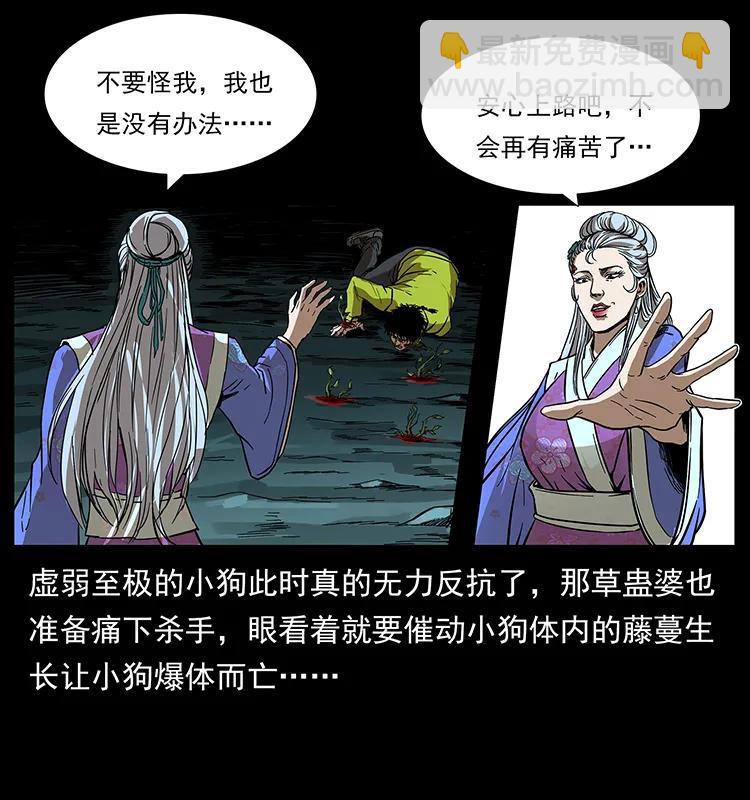 🍜幽冥诡匠 193 草蛊婆 第4页