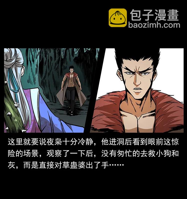 🍜幽冥诡匠 193 草蛊婆 第46页