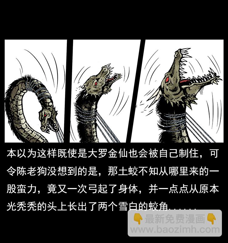 🍜幽冥诡匠 023 守墓妖灵 第47页