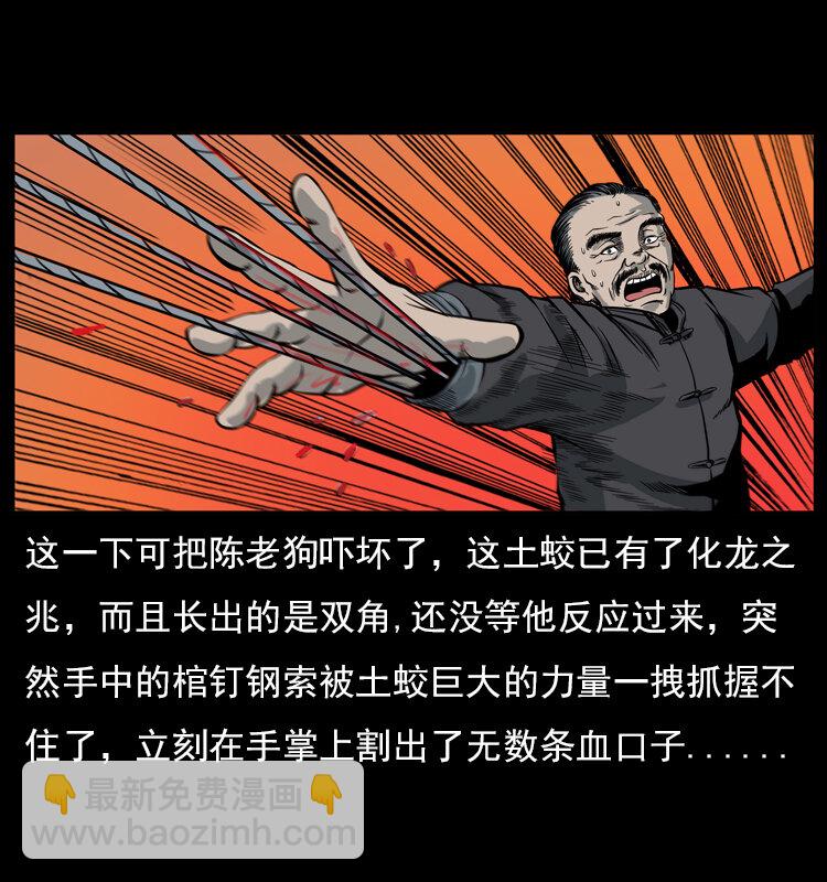 🍜幽冥诡匠 023 守墓妖灵 第48页