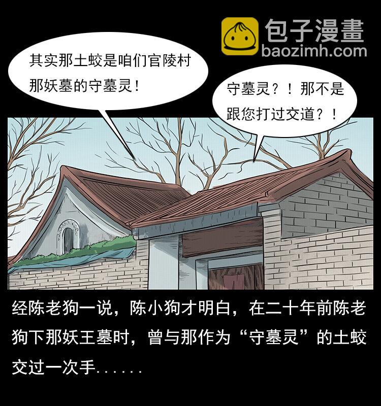 🍜幽冥诡匠 023 守墓妖灵 第9页