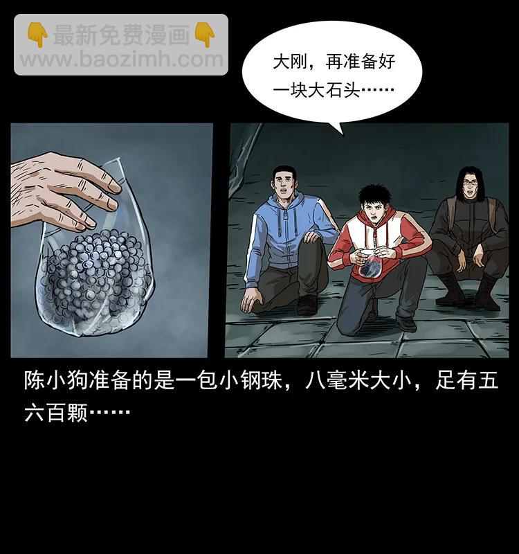 🍜幽冥诡匠 215 望眼欲穿的皇陵 第28页