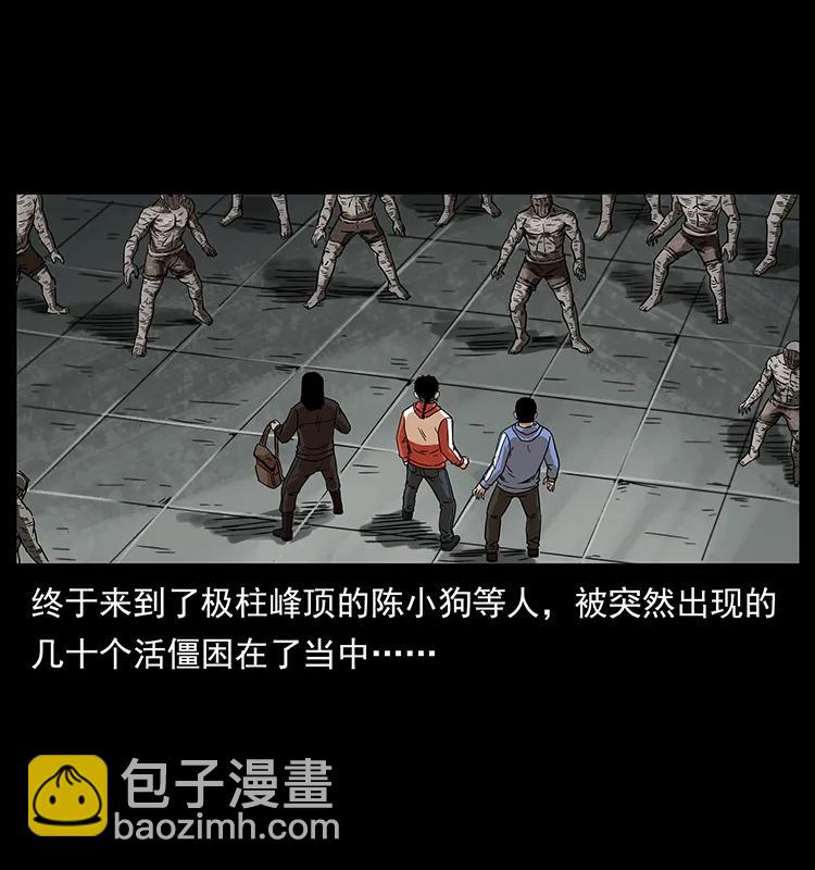 🍜幽冥诡匠 219 蚩龙抬棺 第2页