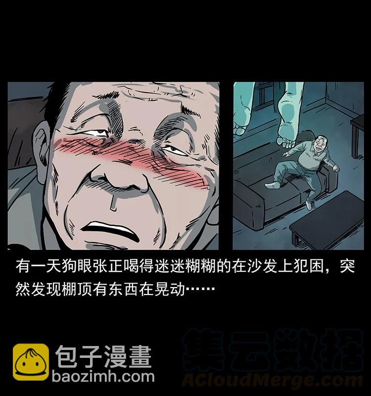 🍜幽冥诡匠 223 养鬼人 第13页