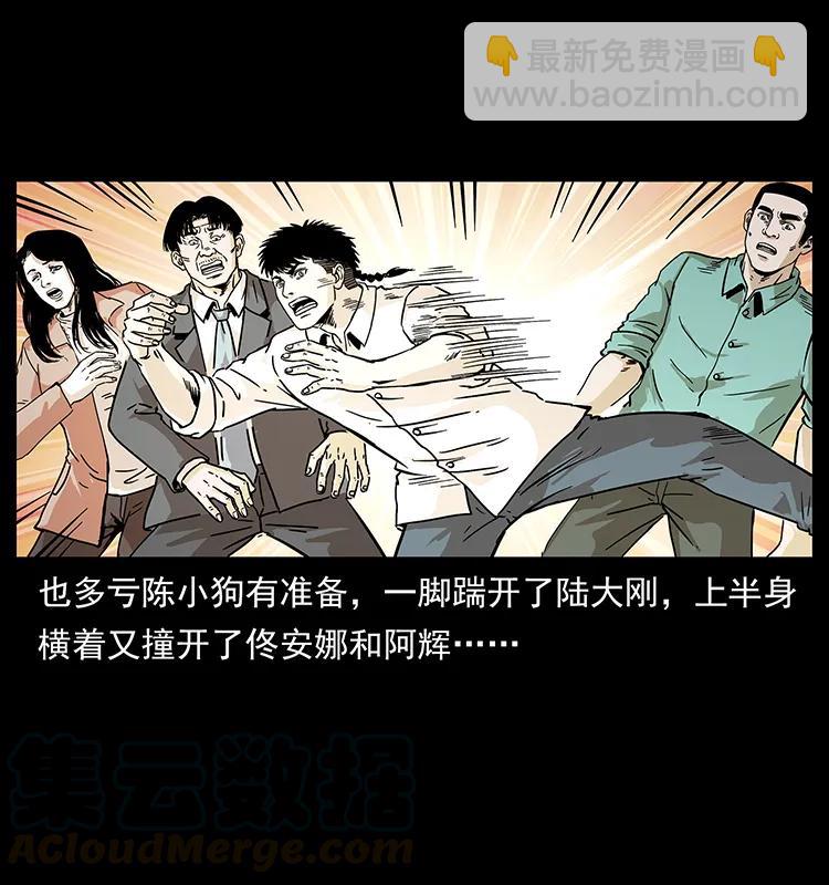 🍜幽冥诡匠 233 又见养鬼人 第45页
