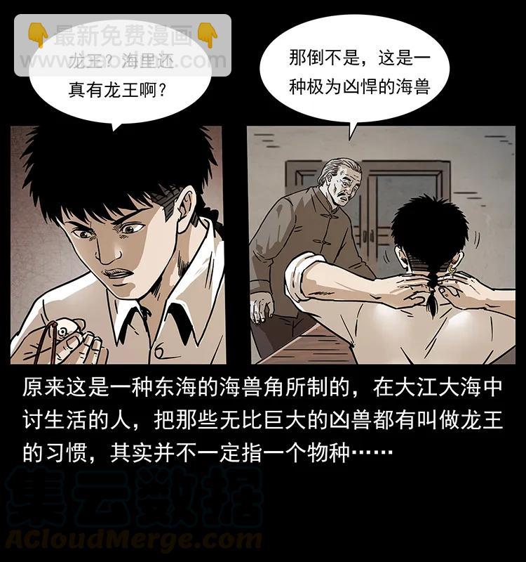 🍜幽冥诡匠 233 又见养鬼人 第9页