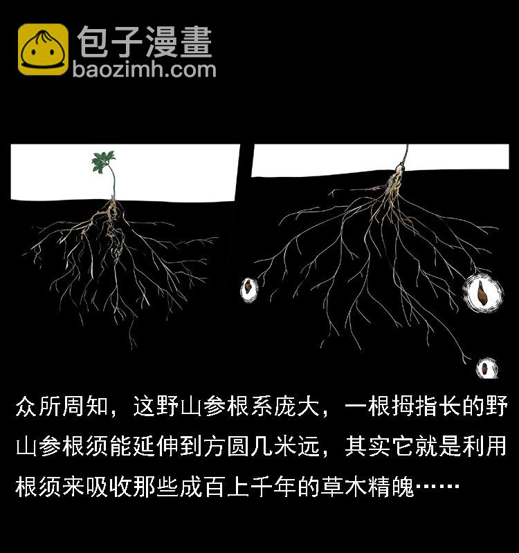 🍜幽冥诡匠 027 刘瞎子憋宝 第14页