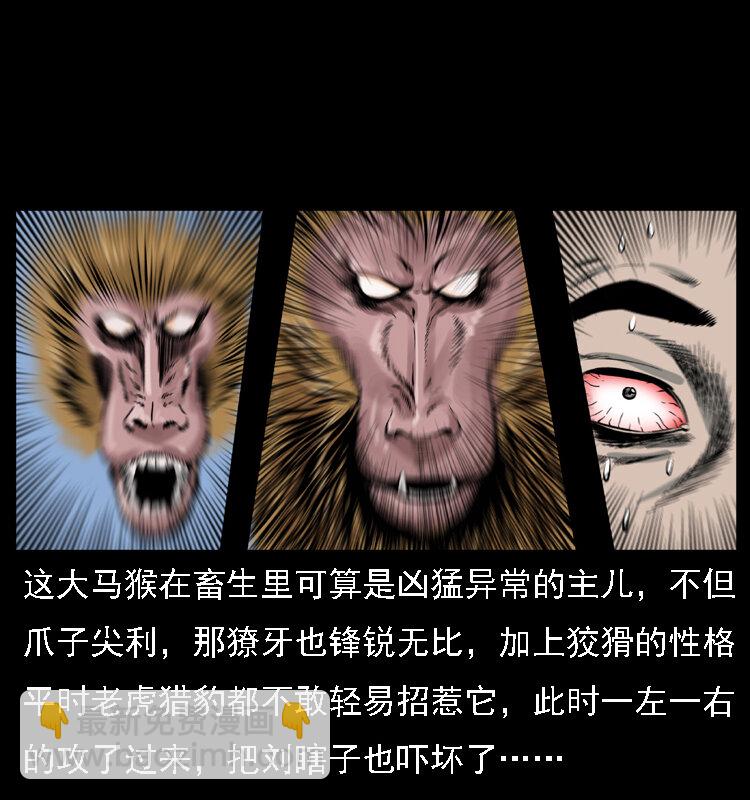 🍜幽冥诡匠 027 刘瞎子憋宝 第47页