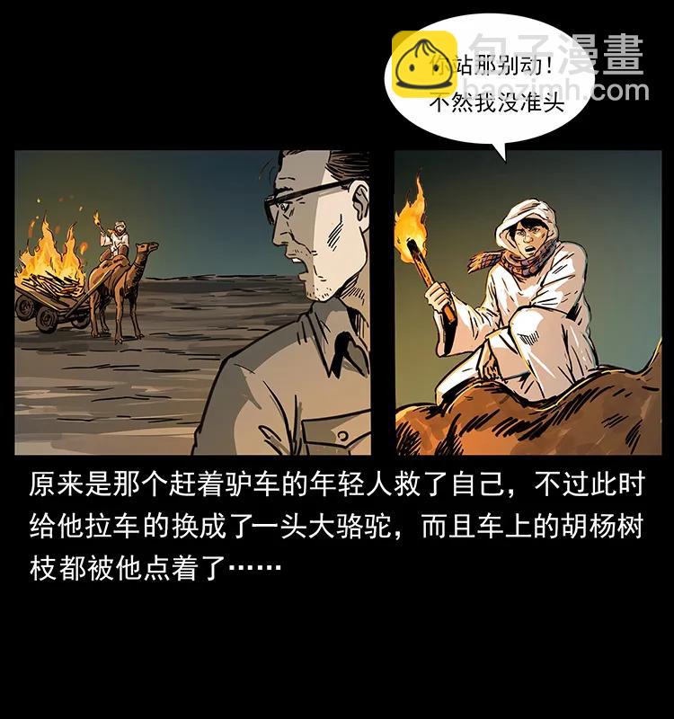 🍜幽冥诡匠 255 天阴石 第48页