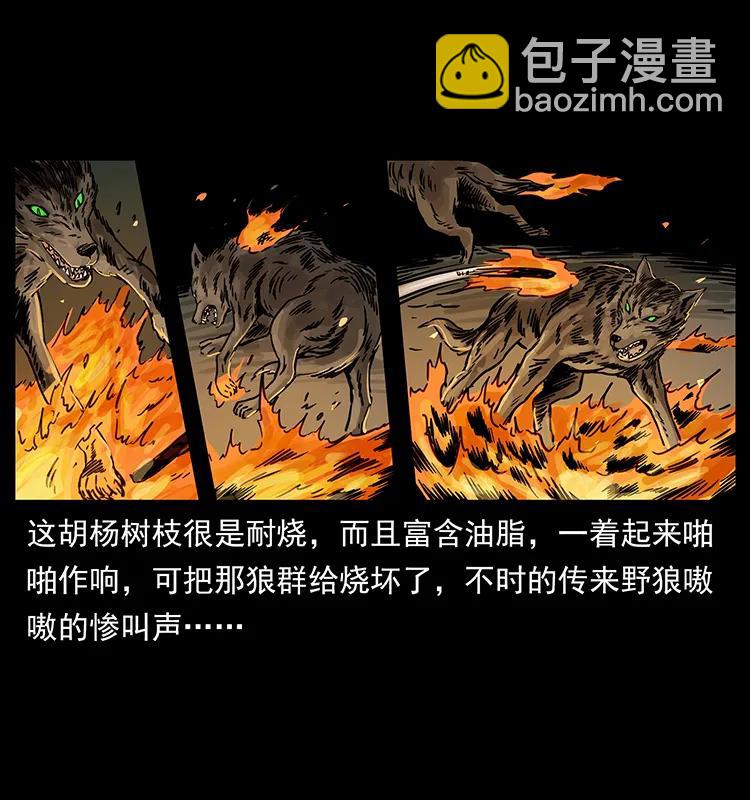 🍜幽冥诡匠 255 天阴石 第50页
