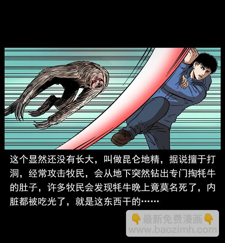 🍜幽冥诡匠 267 万山之祖——昆仑！ 第44页