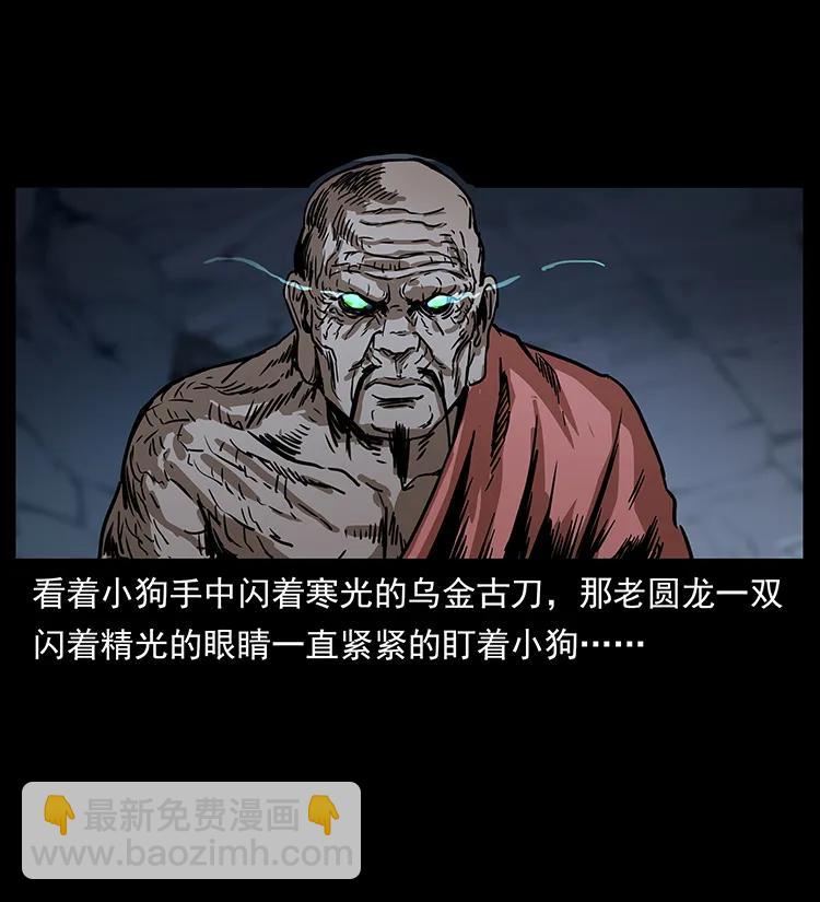 🍜幽冥诡匠 269 昆仑守卫 第46页