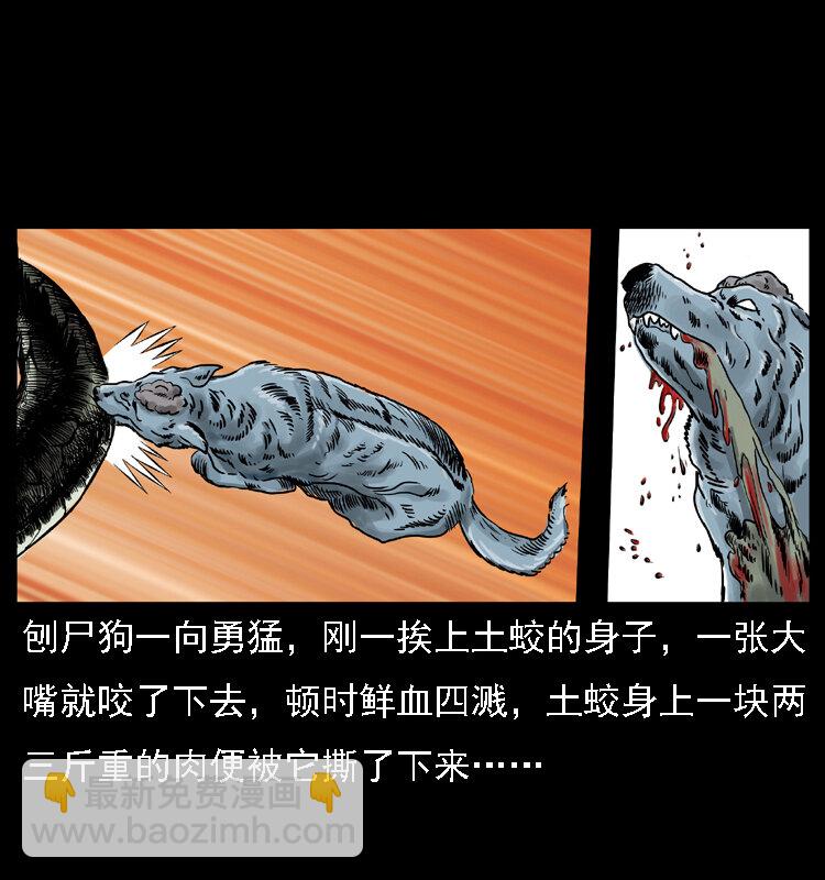 🍜幽冥诡匠 029 斗土蛟 第47页
