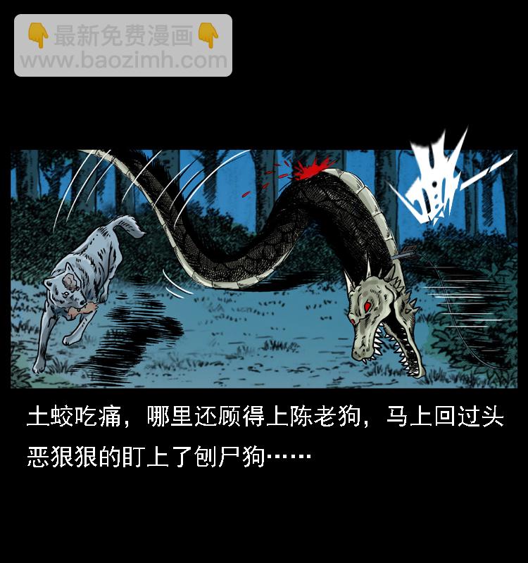 🍜幽冥诡匠 029 斗土蛟 第48页
