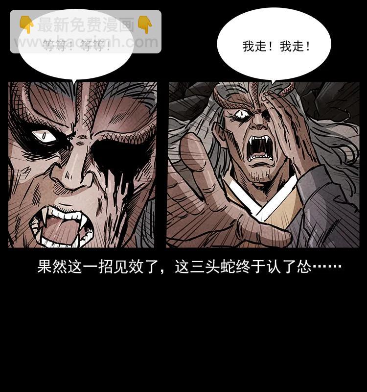 🍜幽冥诡匠 277 三头蛇 第19页