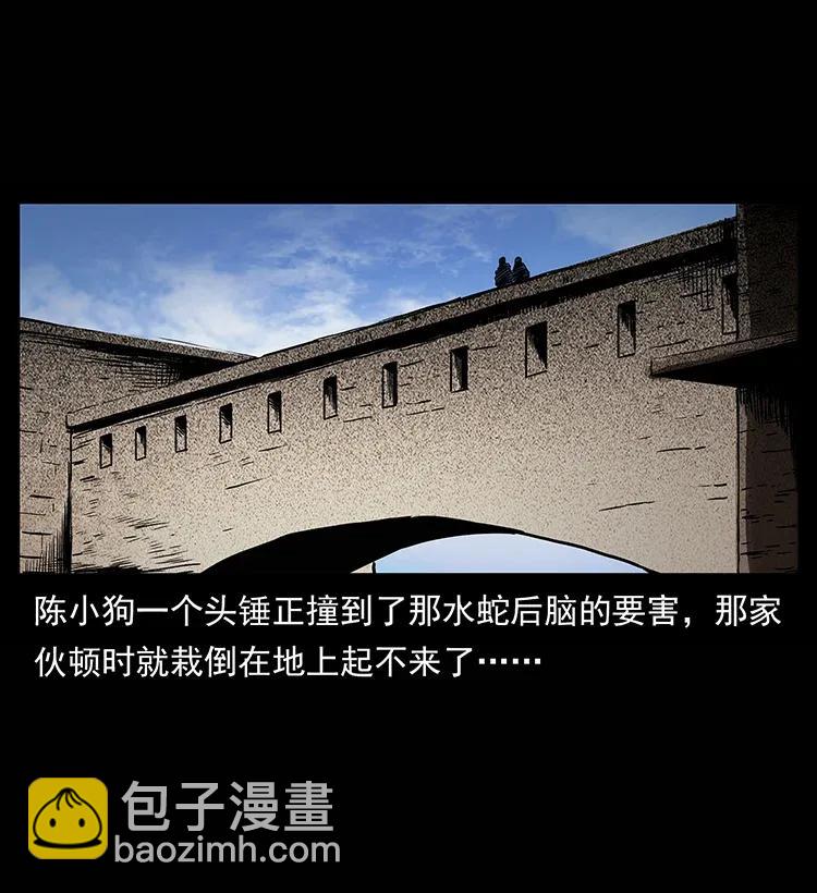 🍜幽冥诡匠 285 水蛟一族 第2页
