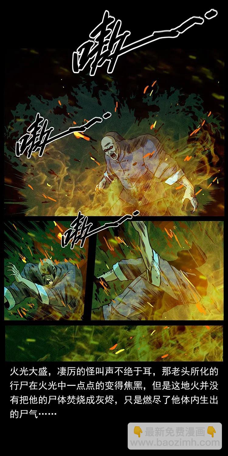 🍜幽冥诡匠 313 兽形僵尸 第26页