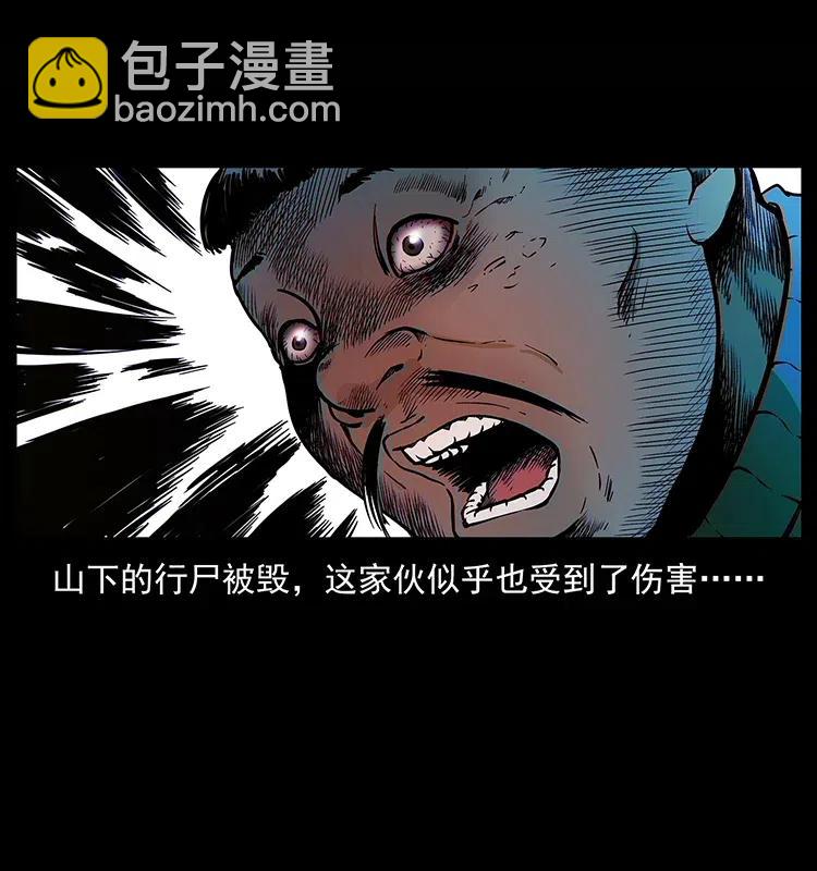 🍜幽冥诡匠 313 兽形僵尸 第30页