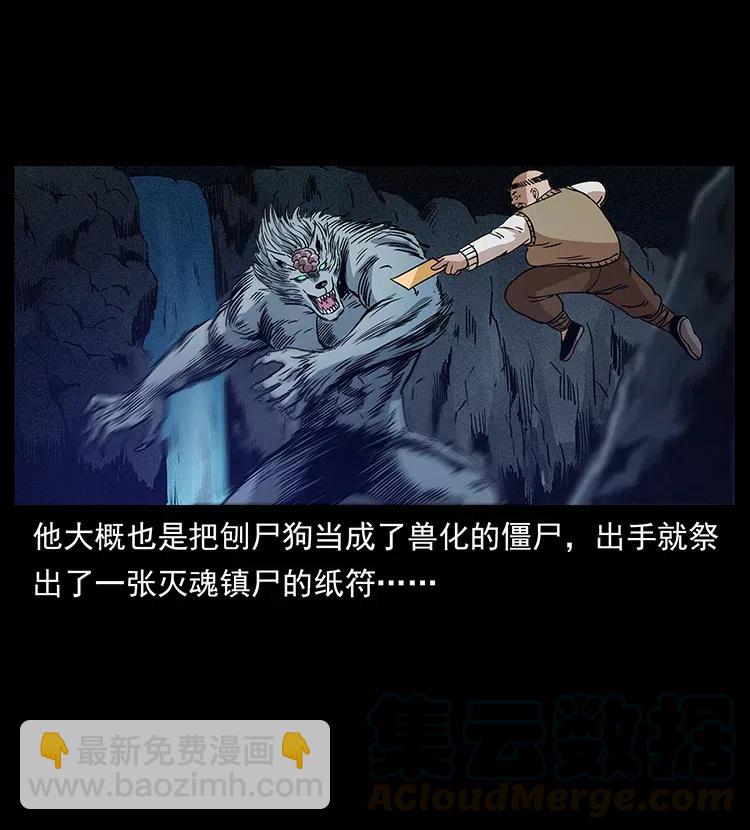 🍜幽冥诡匠 313 兽形僵尸 第37页