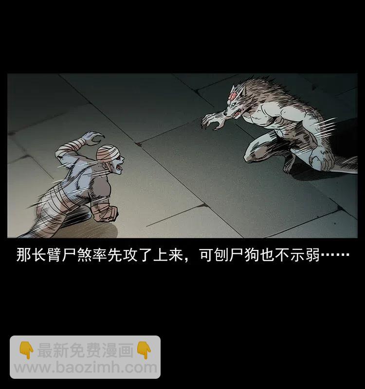 🍜幽冥诡匠 315 盛宴 第22页