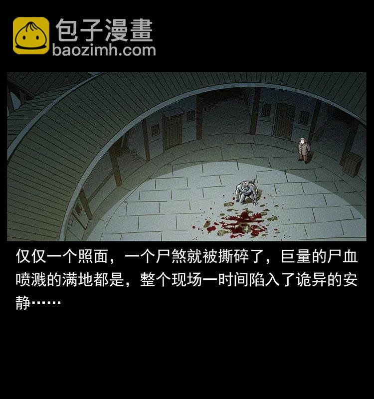 🍜幽冥诡匠 315 盛宴 第27页