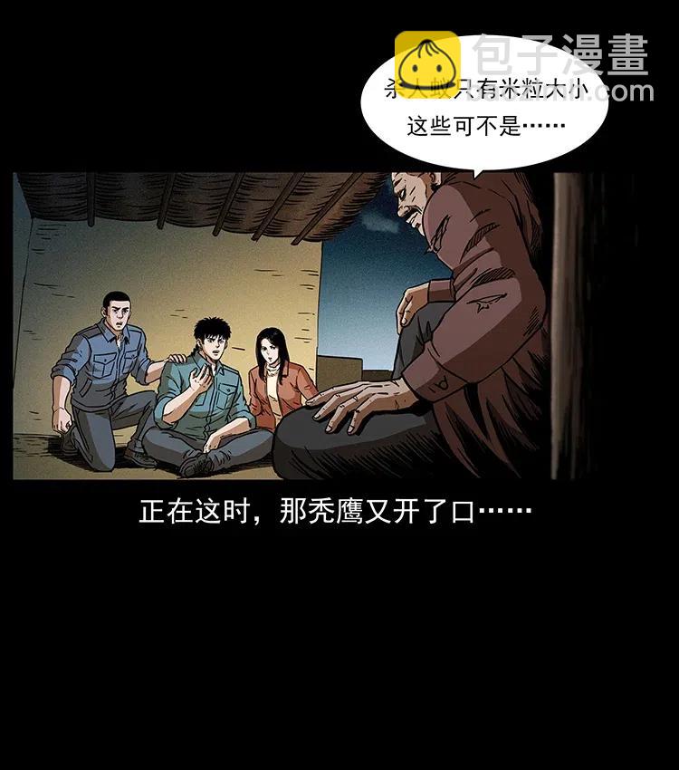 🍜幽冥诡匠 317 大漠凶兽 第10页