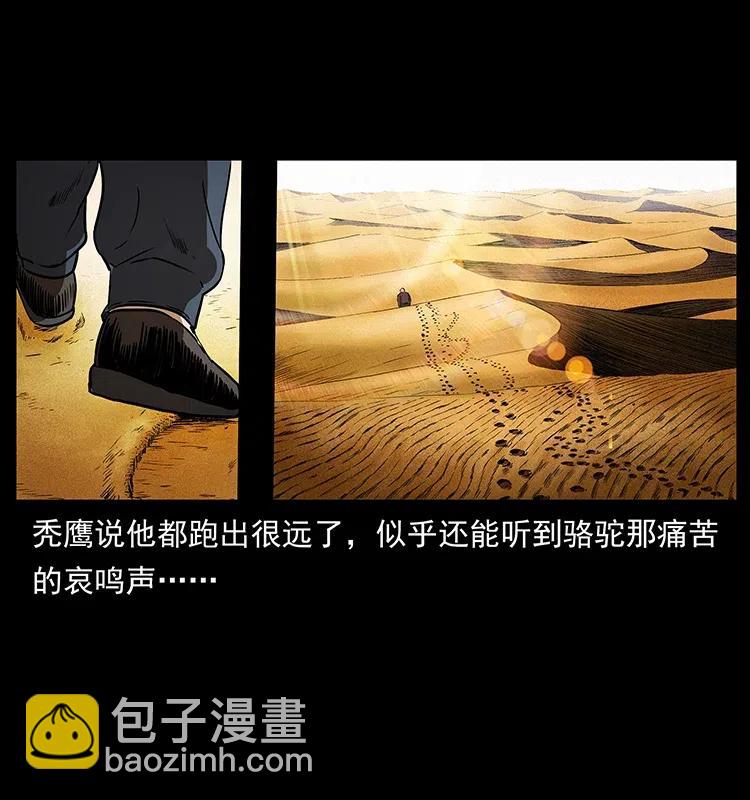 🍜幽冥诡匠 317 大漠凶兽 第27页