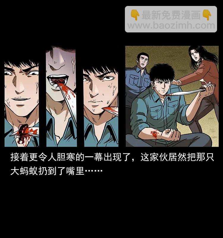 🍜幽冥诡匠 317 大漠凶兽 第44页