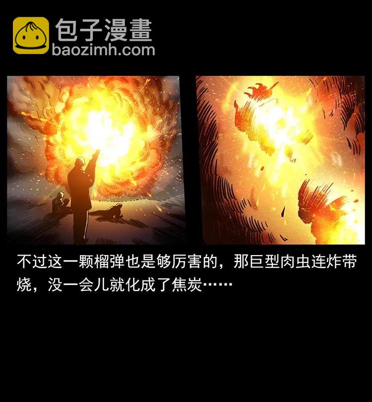 🍜幽冥诡匠 323 地球之耳 第47页