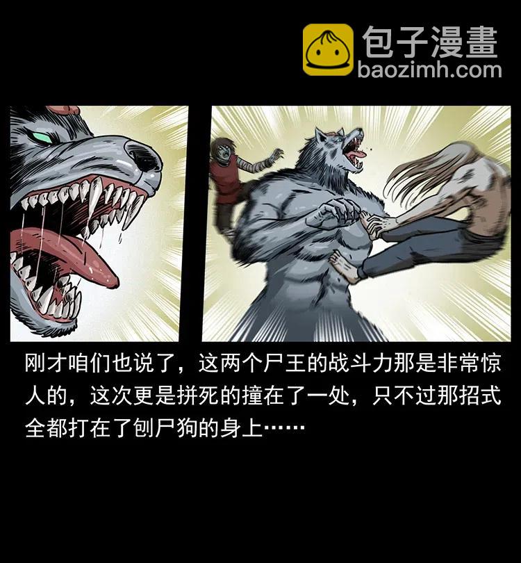 🍜幽冥诡匠 331 樊家尸王经 第28页