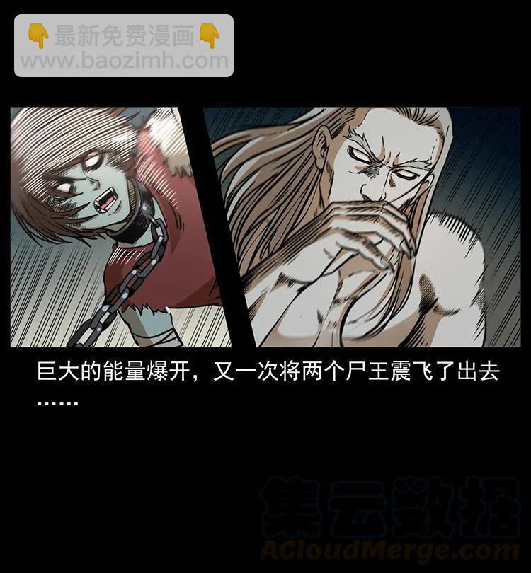 🍜幽冥诡匠 331 樊家尸王经 第29页