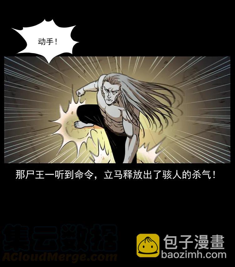 🍜幽冥诡匠 331 樊家尸王经 第9页