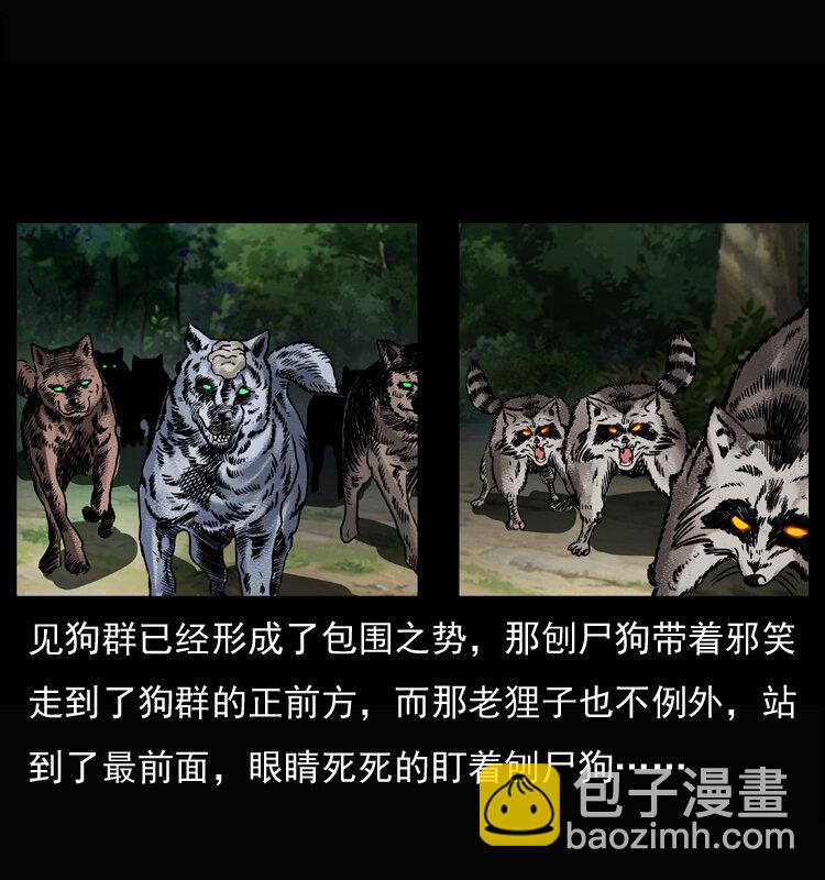 🍜幽冥诡匠 037 百雀丹（下） 第13页