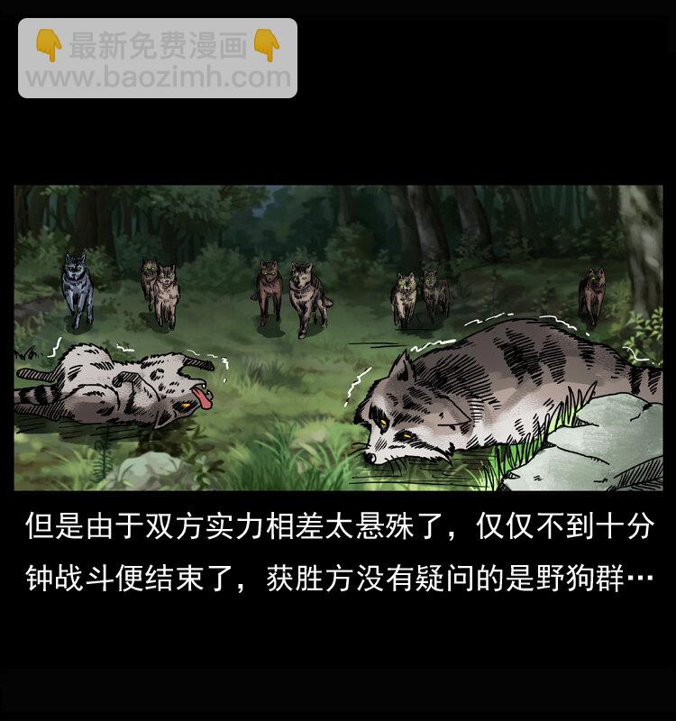 🍜幽冥诡匠 037 百雀丹（下） 第18页