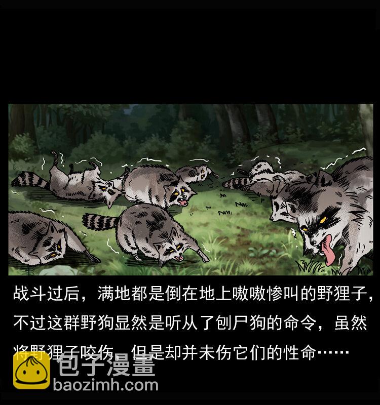 🍜幽冥诡匠 037 百雀丹（下） 第19页
