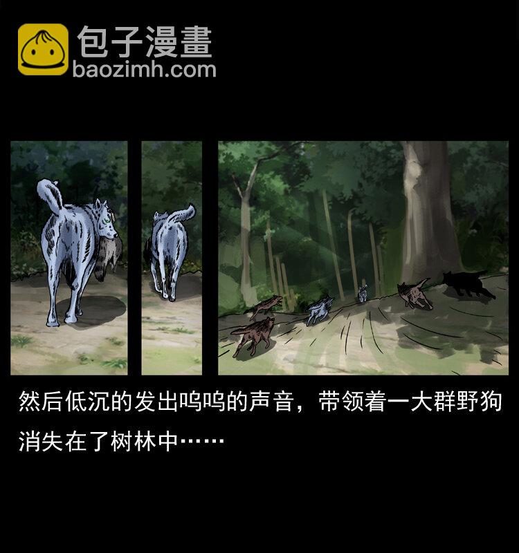 🍜幽冥诡匠 037 百雀丹（下） 第29页