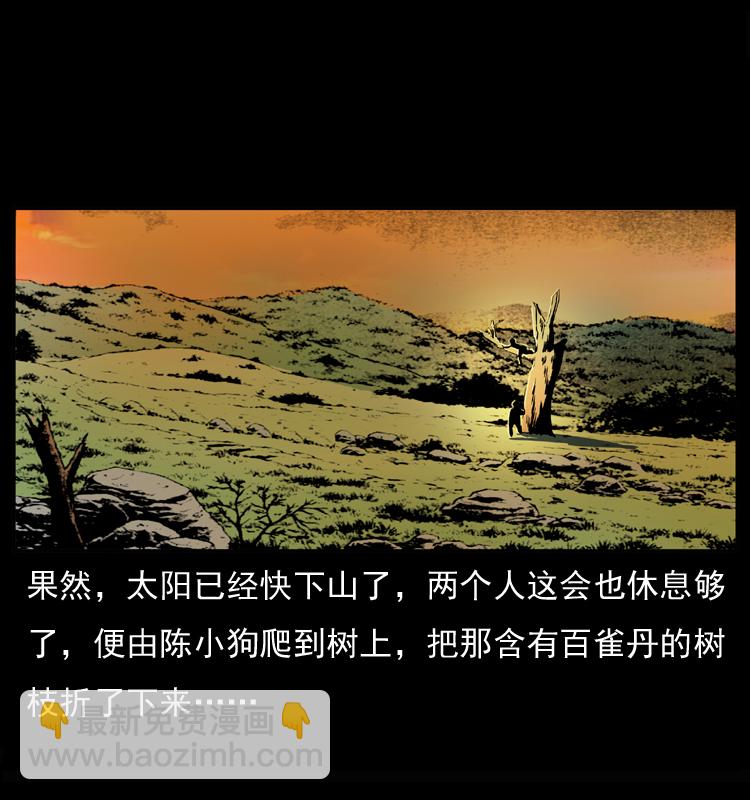 🍜幽冥诡匠 037 百雀丹（下） 第40页