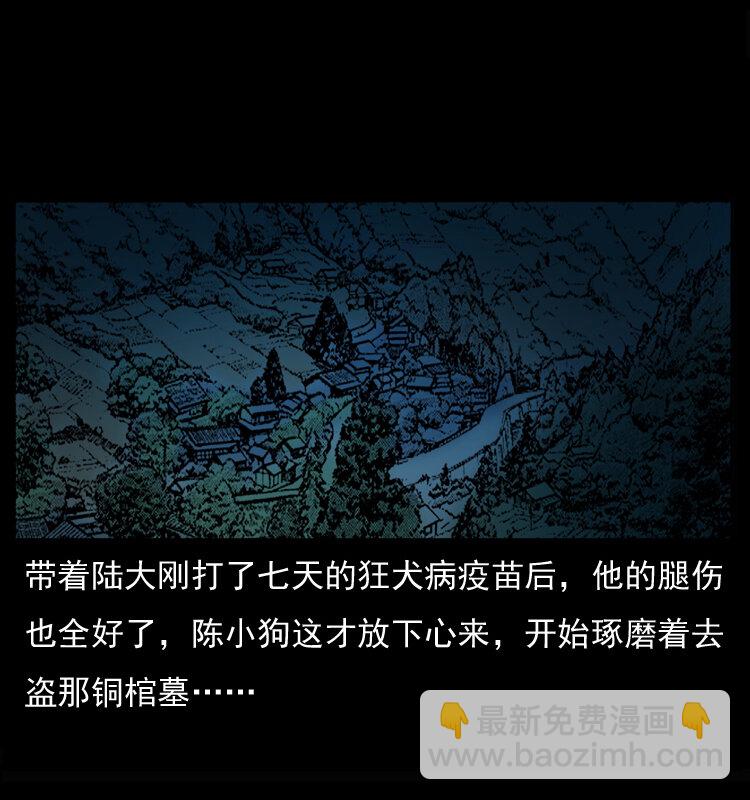 🍜幽冥诡匠 037 百雀丹（下） 第43页