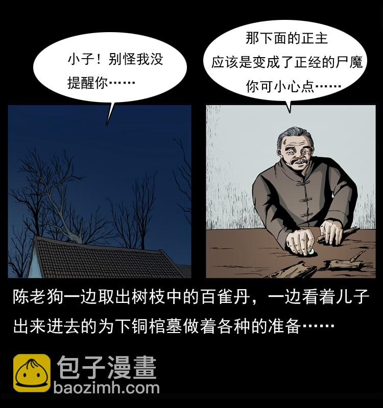 🍜幽冥诡匠 037 百雀丹（下） 第44页
