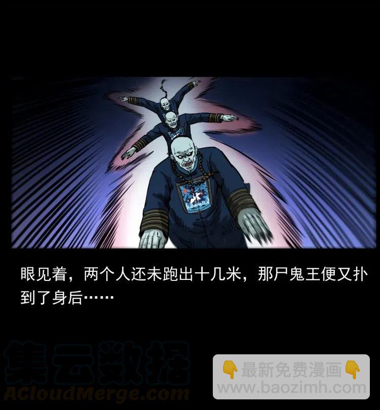 🍜幽冥诡匠 357 阴尸丹 第46页