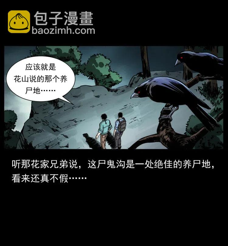 🍜幽冥诡匠 357 阴尸丹 第5页