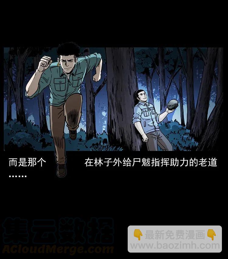 🍜幽冥诡匠 363 丹鼎 第46页