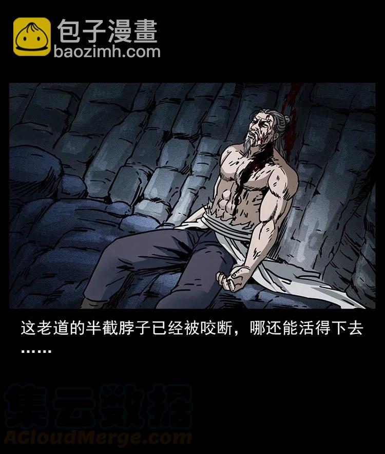 🍜幽冥诡匠 365 死的诅咒 第43页