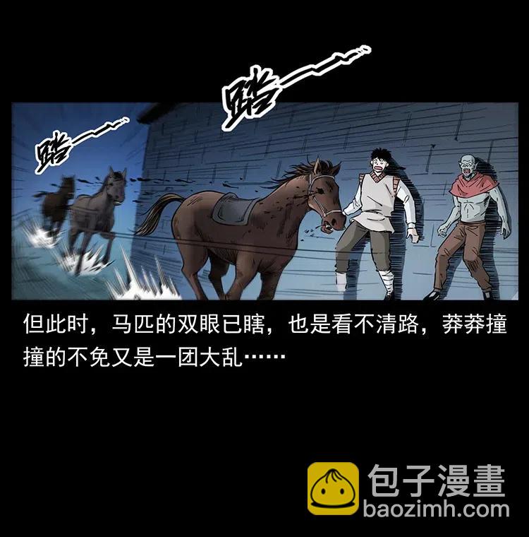 🍜幽冥诡匠 379 皮家三鬼 第29页