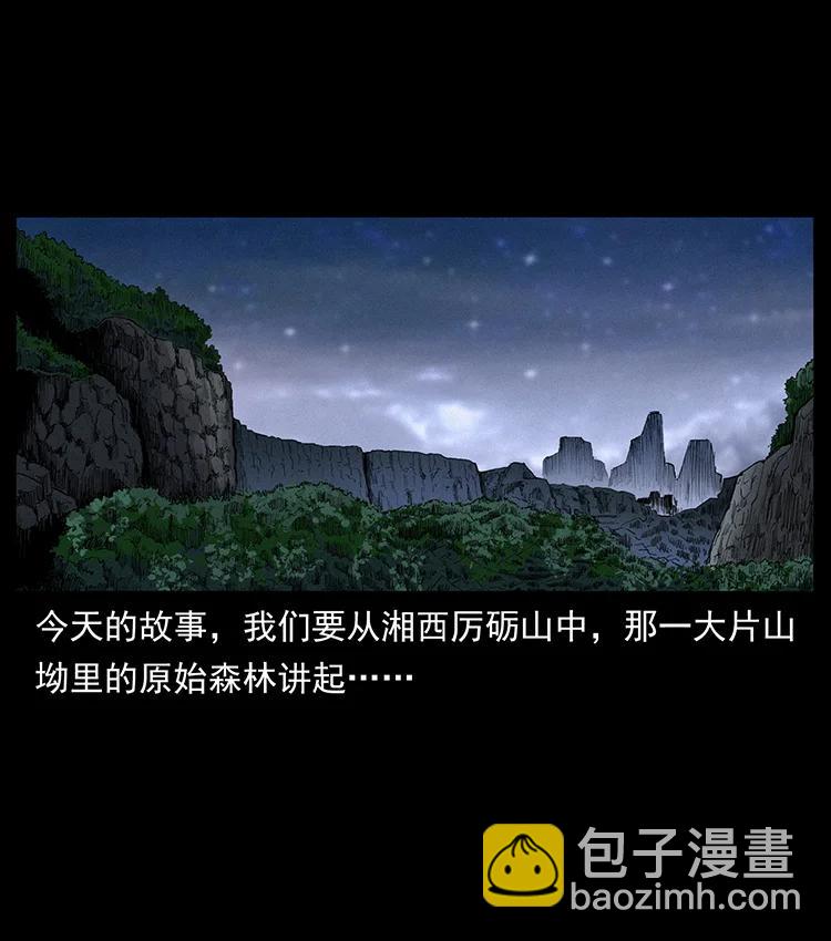 🍜幽冥诡匠 389 迷障 第2页
