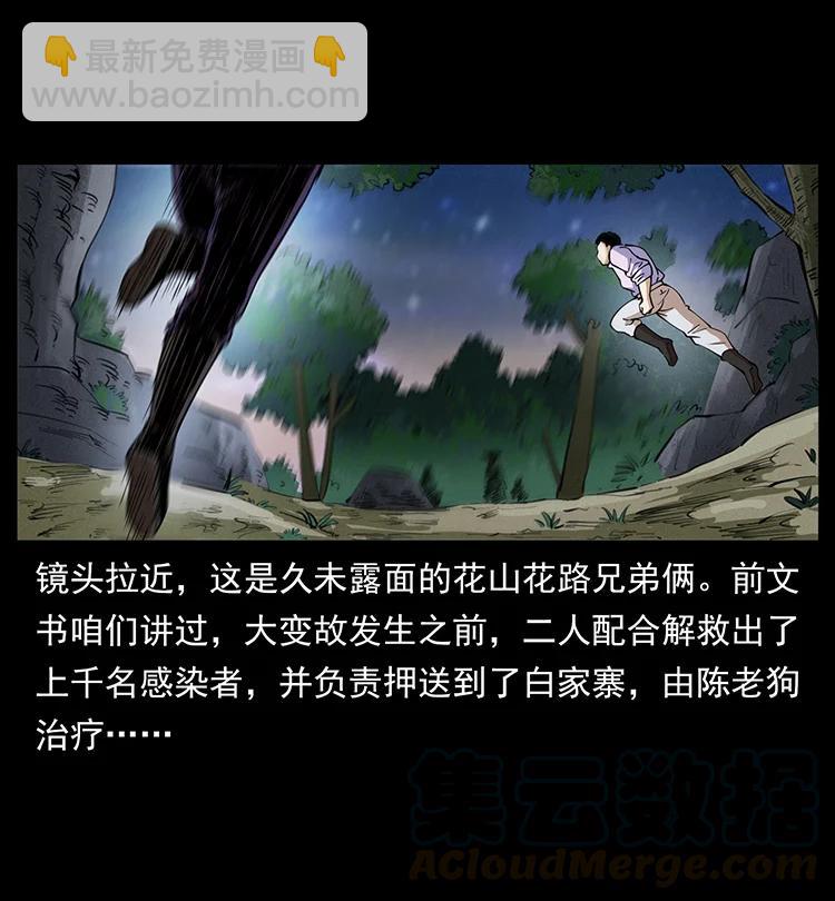 🍜幽冥诡匠 389 迷障 第4页