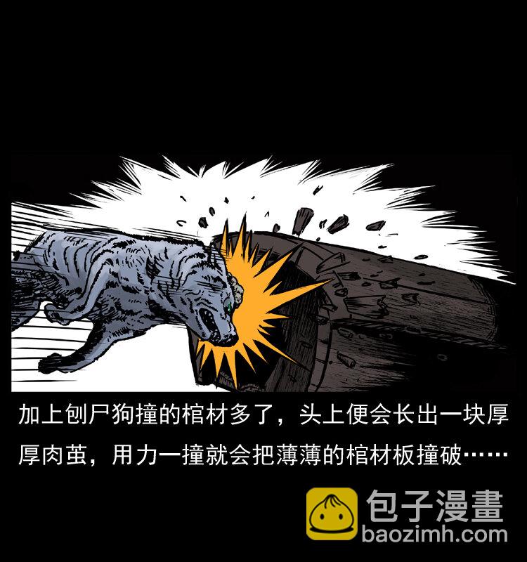 🍜幽冥诡匠 005 刨尸狗 第13页