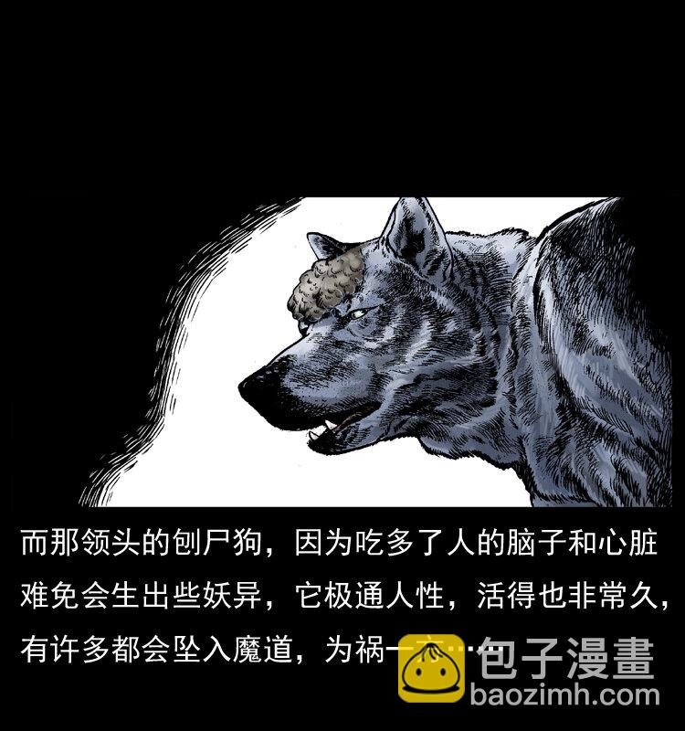 🍜幽冥诡匠 005 刨尸狗 第17页