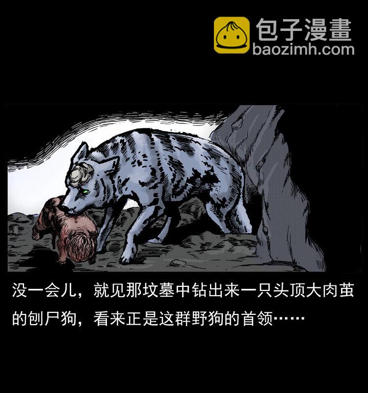 🍜幽冥诡匠 005 刨尸狗 第48页