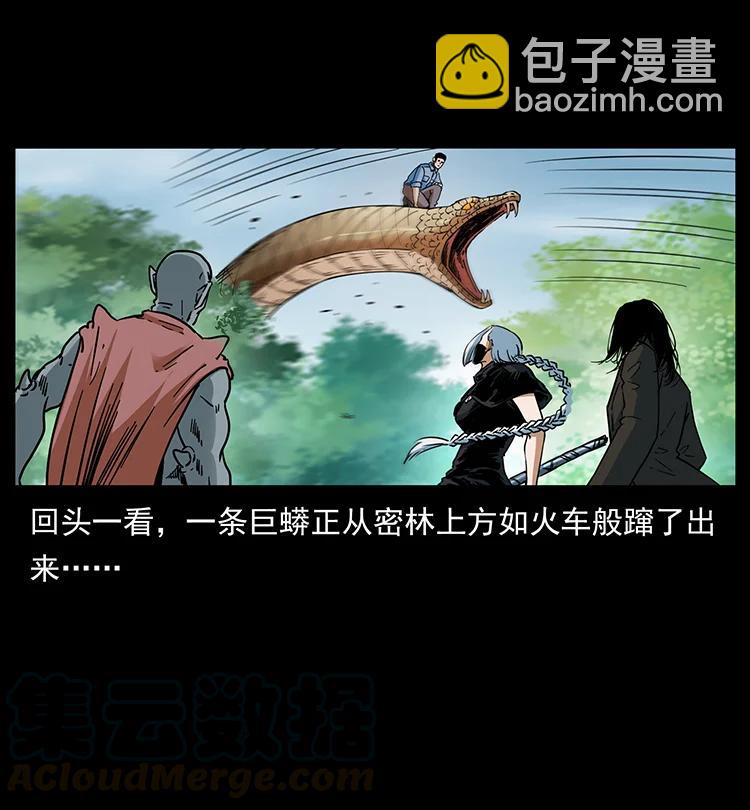 🍜幽冥诡匠 391 散仙 第10页